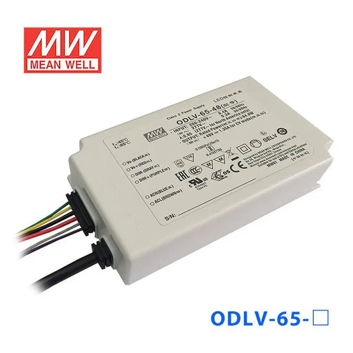 ODLV-65-60 MEAN WELL Power Supply | HTD Electronics